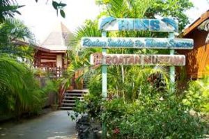 Image result for jenn rims roatan